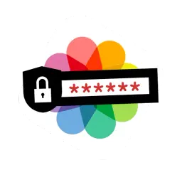 PDF